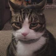 周晗鳕的个人资料头像