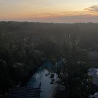 KellyJiang0501头像