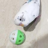 炸毛的小腿头像