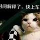 坐看云起 · 汉DM车主·车龄4年头像