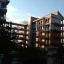 wine酒的个人资料头像