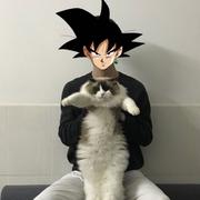 羞羞熊熊拳的个人资料头像