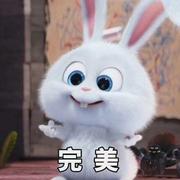 茄克闹的个人资料头像