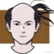 秃头小菜鸟的个人资料头像