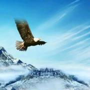 tkly的个人资料头像