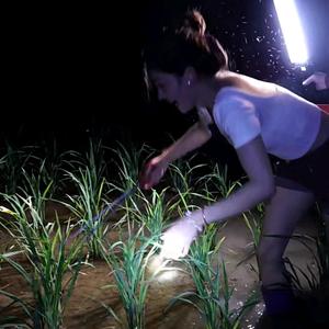 率真梦想h头像