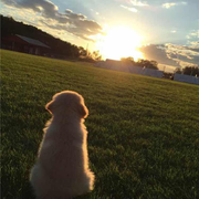 郭小郭的个人资料头像