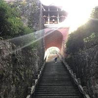 投标汇报动画多媒体头像