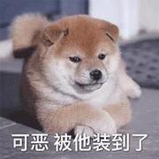 ivan_ivan的个人资料头像