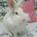 Gaohua50905的个人资料头像