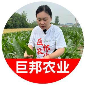 安老师说农业（商品在橱窗）头像