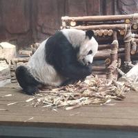 职业生涯5396头像