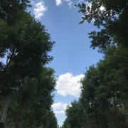 Chenfy的个人资料头像