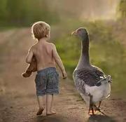 旬米的个人资料头像