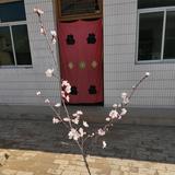 做自已头像