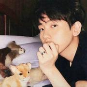 Fychee的个人资料头像