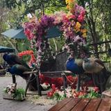 海边看景吹吹风头像