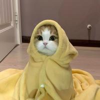 真香小仙儿头像