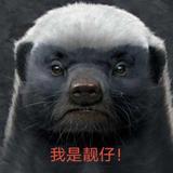 淡泊令君头像