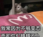 花水木lv的个人资料头像