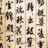 森林之王641010头像