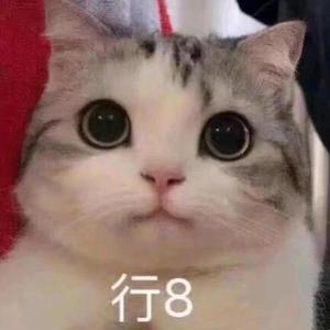 吗哒吗哒猪猪头像