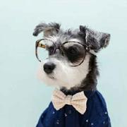 月魂祭夏的个人资料头像