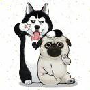 咪同学的个人资料头像