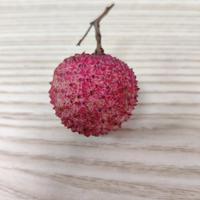 老表不要慌头像