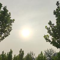 嗯嗯嗯嗯嗯哦嗯嗯嗯嗯头像