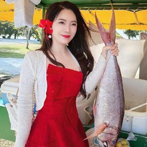 vivian的旅行日记