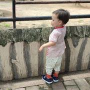 安心房产与装修的个人资料头像