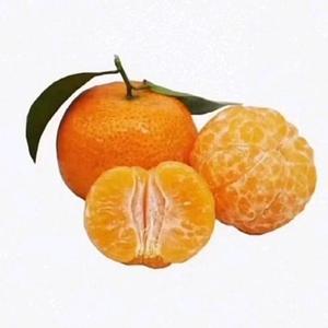 答复你的问题头像