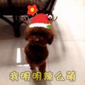 棒棒糖4232头像