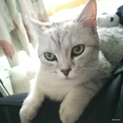 起个名字都有人用爱学的个人资料头像