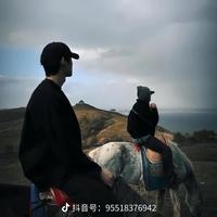 幸福孔雀vw0头像