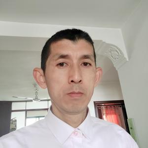 青岛老朱头像