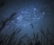 霖溦的个人资料头像