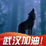 绅士1631头像