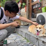 桃子在写代码的个人资料头像