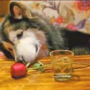 billy_huang的个人资料头像