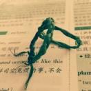 天天向上同志53497的个人资料头像