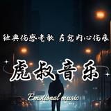 虎叔音乐头像