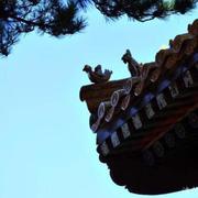 用户2634265223797的个人资料头像