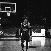 不会开车的汉密尔顿头像