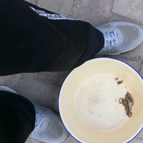 艰苦奋斗6t5c头像