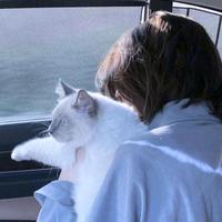 胖丫的南漂生活头像