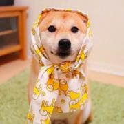 Thomas_Cho的个人资料头像