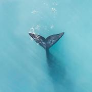 177的个人资料头像