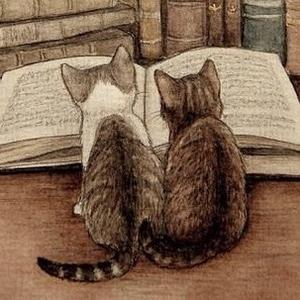 猫猫学堂古诗赏析头像